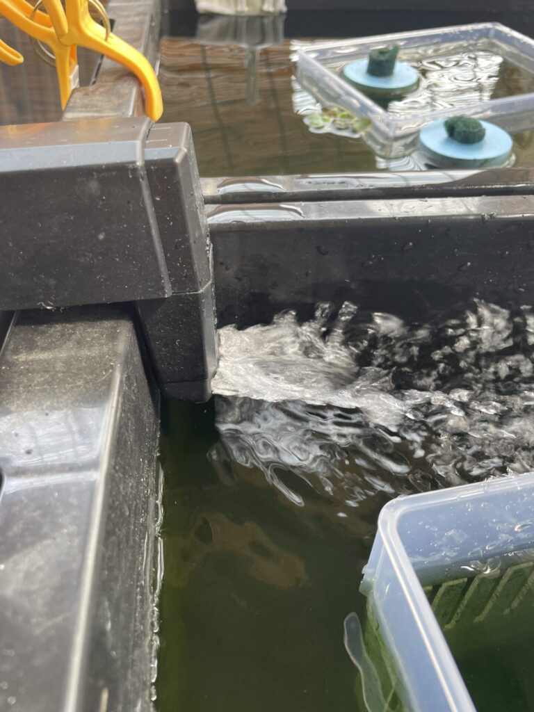 容器に引っ掛けて給水